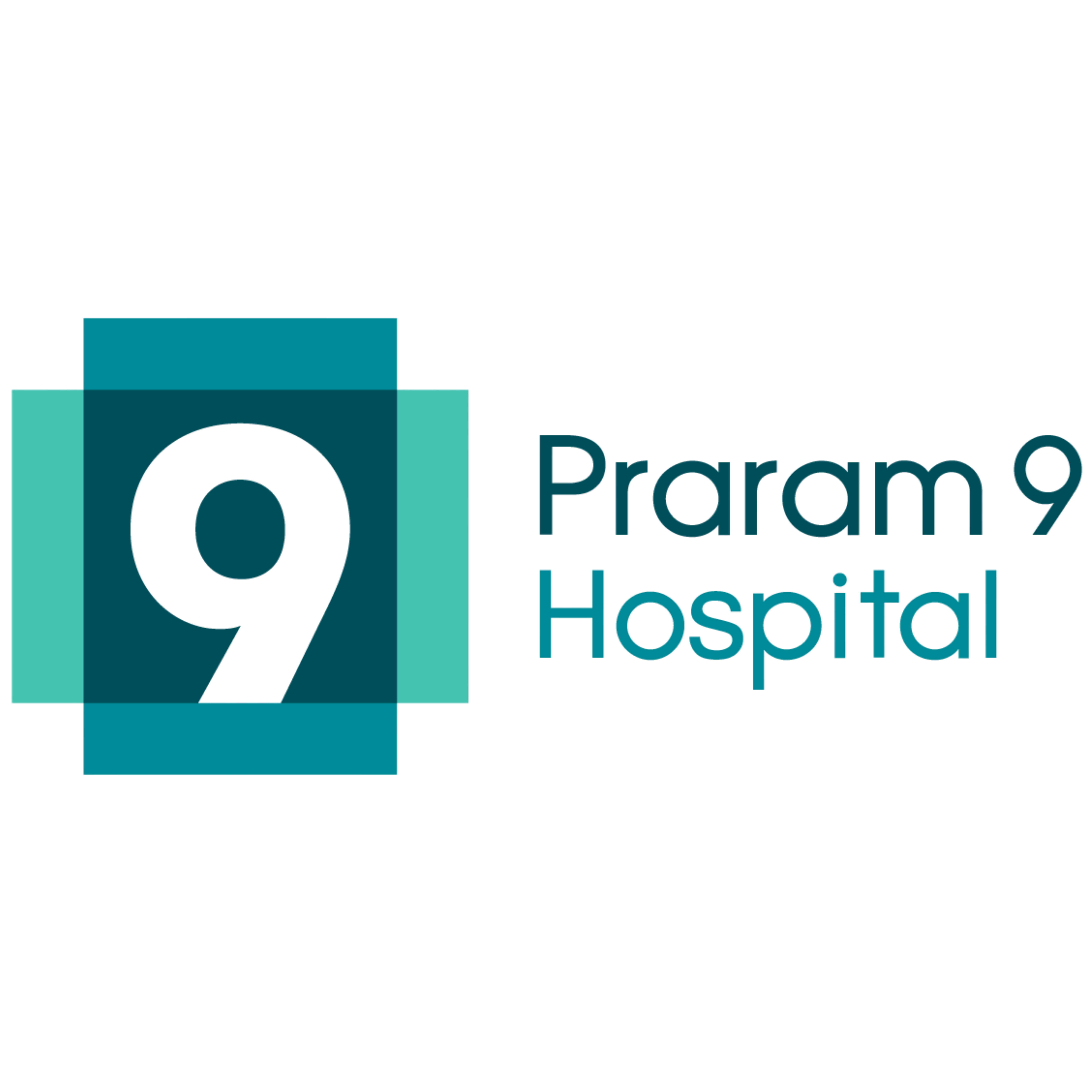 Praram 9 Hospital